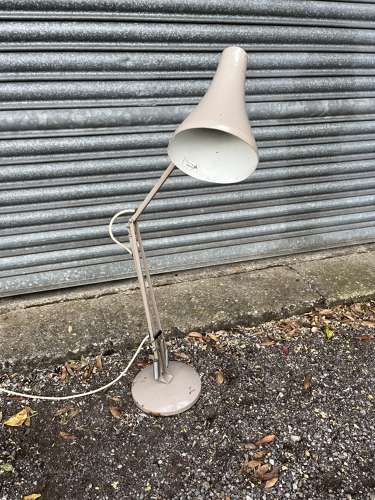 Anglepoise Beige Lamp