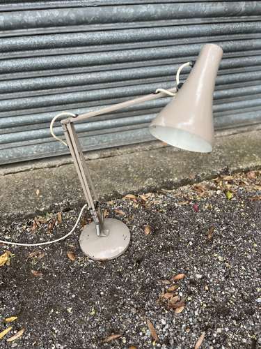 Anglepoise Beige Lamp