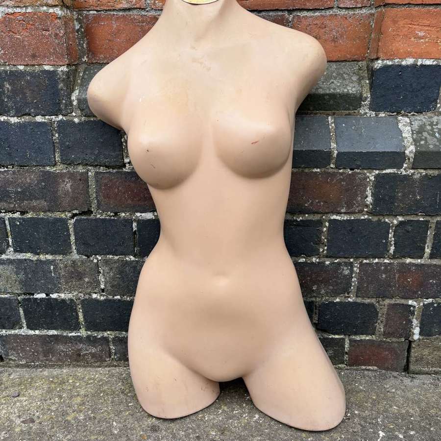 Tudor Rose Mannequin