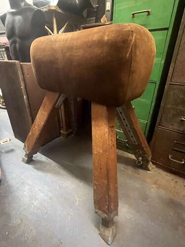 Vaulting Horse