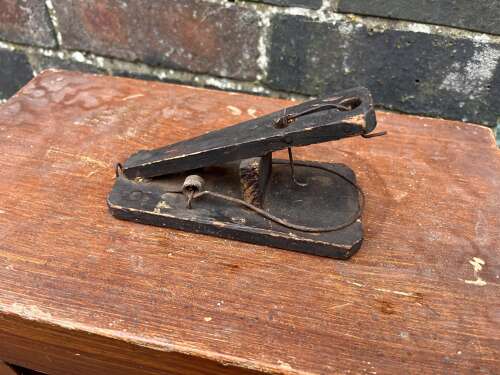 Early Mouse Trap
